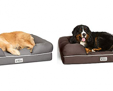 Save up to 25% on PetFusion Dog Beds and Premium Pet Blankets!