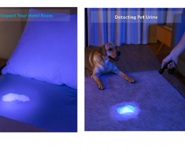 Anker Bolder UV Flashlight Rechargeable, Ultraviolet Blacklight Detector for Pet Stains and More Only $14.99! (Reg. $26) Great Reviews!