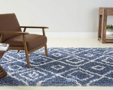 Home Dynamix Cambridge Brooks Rug – Only $68.28!