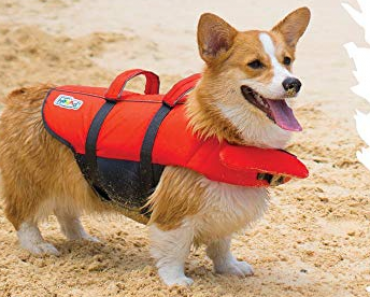 Outward Hound Dog Life Jacket ONLY $19.34!