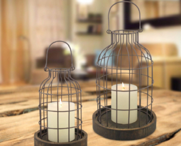 Stonebriar Wire Metal Cloche Set – 2 Pack Only $40.62 Shipped! (Reg. $59.99)