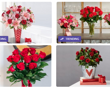 Living Social: Take an Extra 25% off Your Purchase! Valentine’s Day Flowers $40 Voucher Only $15!