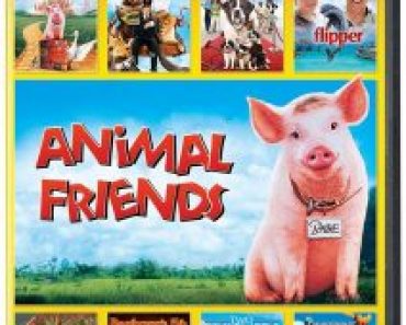 Animal Friends 8-Movie Collection on DVD Only $4.99! Just $0.62 EACH!