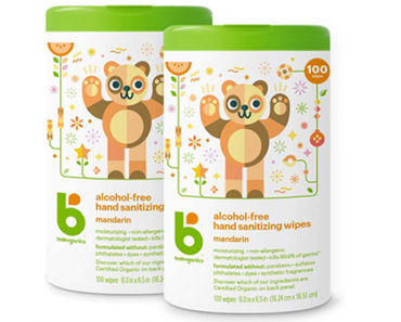 Babyganics Alcohol-Free Hand Sanitizer Wipes, Mandarin, 100 ct, 2 Pack – Just $18.47!