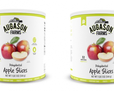 Augason Farms Dehydrated Apple Slices (10 Can) Only $18.99! (Reg $24.25)