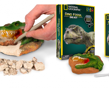 National Geographic Dino Fossil Dig Kit Only $5.99! (Reg $9.99)