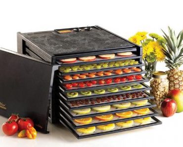 Excalibur 9-Tray Electric Food Dehydrator – Only $189.99 Shipped!