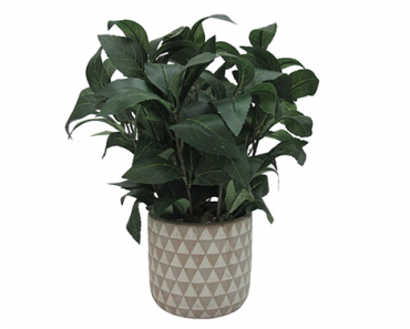 Ends tonight! Kohl’s 30% Off! Earn Kohl’s Cash! Spend Kohl’s Cash! Stack Codes! FREE Shipping! SONOMA Goods for Life Olive Leaf Artificial Plant – Just $13.99!