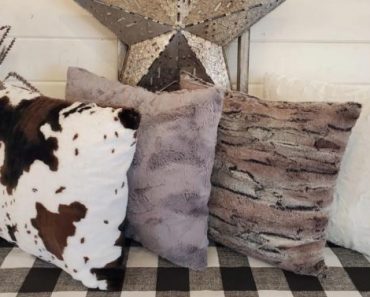 Minky Pillow Cover – Only $14.99!
