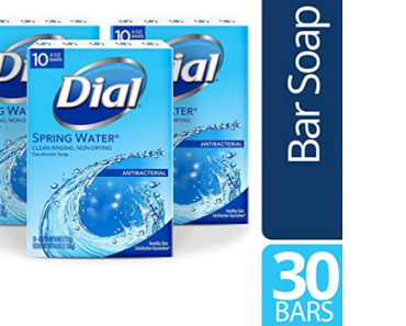 Dial Antibacterial Bar Soap, Spring Water, 30 Count Only $10.19 Shipped!