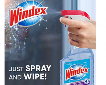 Windex Ammonia-Free Glass Cleaner Spray Bottle 23 Fl Oz Only $1.90 Shipped!