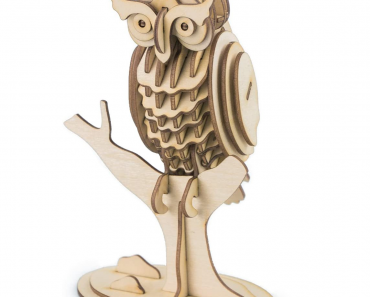 RoWood 3D Wooden Owl Puzzle Only $9.99!
