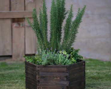 Coral Coast Guthrie Wood Hexagon Planter Only $30.99! (Reg $62)