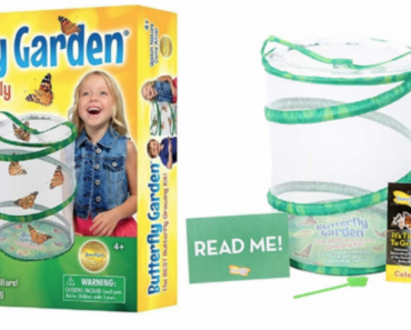 Insect Lore Butterfly Growing Kit $22.95!