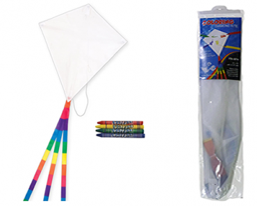 20 Inch Ripstop Fabric Diamond Kite – Coloring Project – Just $8.00!