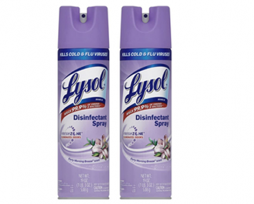Lysol Disinfectant Spray, Early Morning Breeze, 19 Ounce (Pack of 2) – Just $14.99!