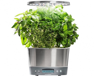 AeroGarden Harvest Elite 360 6-Pod Gourmet Herbs Seed Pod Kit – Just $99.99!
