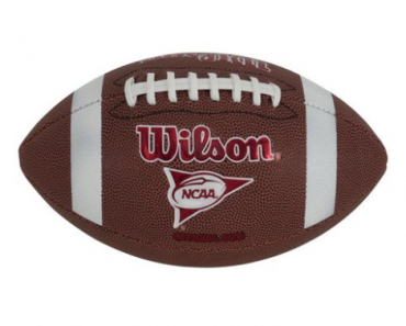 Wilson NCAA Red Zone Series Composite Football (3 Different Sizes Available!) Only $9.00! (Reg. $20)