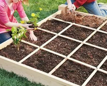 Wooden Garden Bed Planting Box 39″ x 39″ Only $90.80 Shipped! (Reg $190)