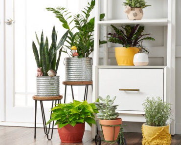 Sonoma Goods for Life Galvanized Planter with Wood Stand Only $17.49 Each + FREE Shipping!