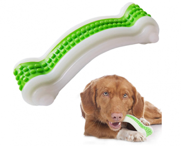 Durable Dog Chew Toys – Bite Resistant Toothbrush Stick – Just $7.79!