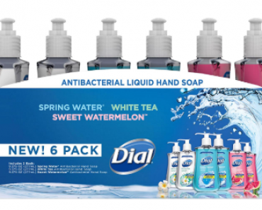 Dial Antibacterial Liquid Hand Soap 6-pk Only $7.98! (Sam’s Club)