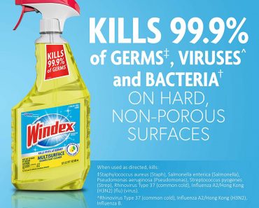 Windex Disinfectant Spray Just $3.77!