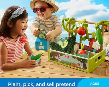 Fisher-Price Farm-to-Market Stand Play Set Just $16.33!