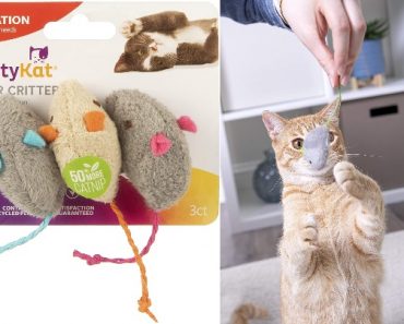 SmartyKat Catnip Cat Toys Just $1.97!