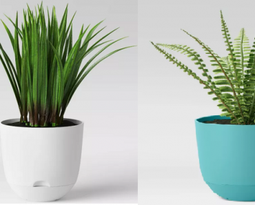 Room Essentials Self Watering Planter Only $3.00! 6 Colors Available!