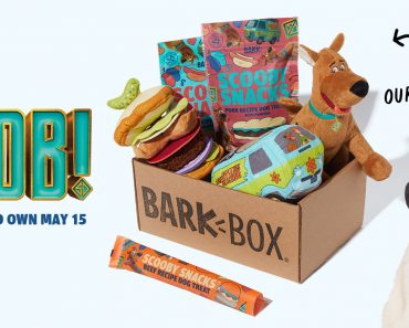 Scooby Doo Themed Bark Box Available!