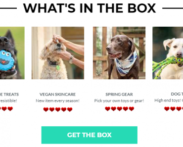 Get Your First Box Dog Shipment For 75% OFF! Now ONLY $10!