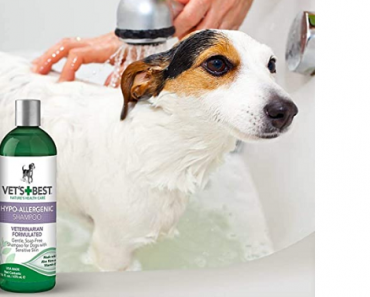 Vet’s Best Hypo-Allergenic Shampoo for Dogs Only $5.07! Great Reviews!