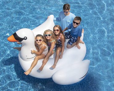 Swimline Giant Inflatable Swan Pool Float Only $24.99!