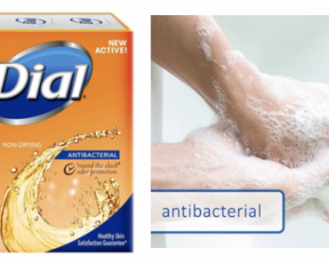 Dial Antibacterial Deodorant Bar Soap 3-Count Just $1.61! (Reg. $6.99)