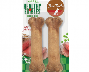 Nylabone Healthy Edibles Flavored Dog Treat Bones Just $2.26 Shipped!