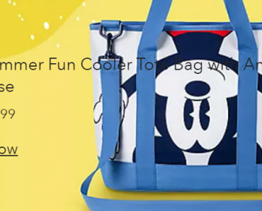 Shop Disney: FREE Shipping on ANY Purchase! Plus, Get a Disney Cooler Tote Bag for Only $16 with any Purchase! Today Only!