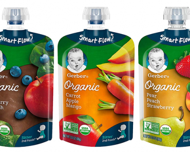 Gerber Organic 2nd Food Pouches, Fruit and Veggie Variety Packs (18 count) Only $15.37 Shipped! That’s Only $0.85 Each!