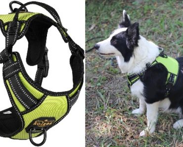 Reflective No Pull Front Clip Dog Harness With Handle Only $12.99! (Large or X-Large)