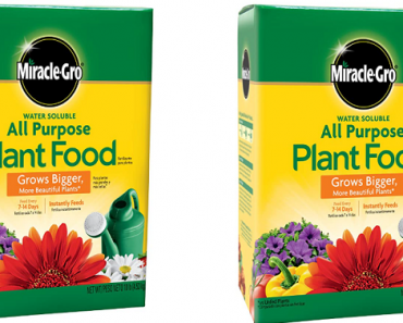 Miracle-Gro Water Soluble All Purpose Plant Food, 10 lb Only $14.98! (Reg. $43)
