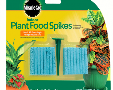 Miracle-Gro Indoor Plant Food Spikes 48-Count Only $2.24!! (Reg. $11.99)