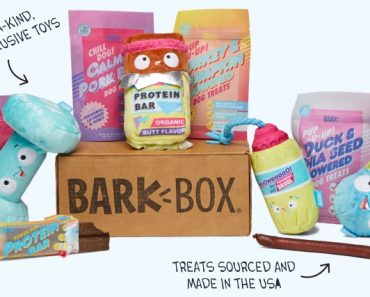 FREE BarkBox Month With Any Multi-Month Subscription!