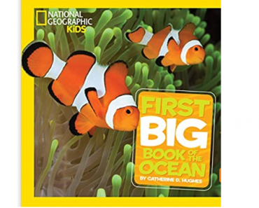 National Geographic Little Kids First Big Book of the Ocean Only $5.35! (Reg. $15)