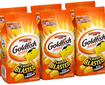 Pepperidge Farm Goldfish Blasted Xtra Cheddar Crackers, 6 Count Only $8.89 Shipped! That’s Only $1.48 per Bag!