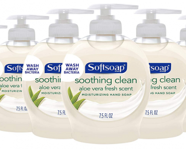 Softsoap Liquid Hand Soap, Aloe (Pack of 6) – Only $6.78 Shipped!