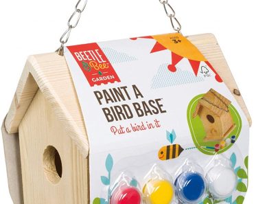 Toysmith Beetle & Bee Paint A Bird Base, Backyard Birdhouse Kit – Only $10.24!
