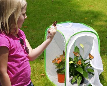 Insect and Butterfly Habitat Pop-Up Cage Only $13.99!