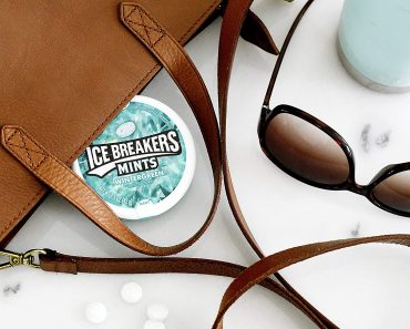 Pack of 8 Ice Breakers Wintergreen Mints Only $10.22!