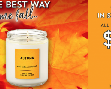 Bath & Body Works: $5.95 Single Wick Candles Today Only!