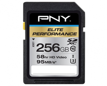 PNY Elite Performance 256GB SDXC UHS-I Memory Card – Just $39.99!